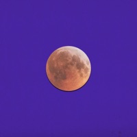 All Night Long - Single - HUBBLE