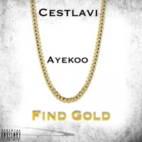 Find Gold (feat. Ayekoo) - Single - Cestlavi