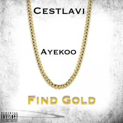 Find Gold (feat. Ayekoo) - Single