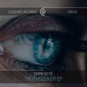Truthseeker - Single