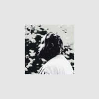 Chasing Love - Single - will cherry