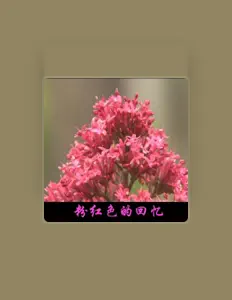 Ascolta 马文吉, guarda video musicali, leggi la biografia, vedi le date del tour & altro!