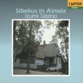 Sibelius in Ainola II artwork