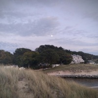 Out of Place - Single - Crizzy White