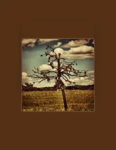 Poslechněte si interpreta Malachi Swamp, sledujte hudební videa, přečtěte si životopis, podívejte se na data turné a další informace.