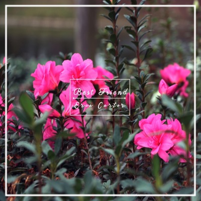 Best Friend - Single