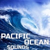 Nature Sounds Explorer, Ocean Soundzz & Paramount Nature Soundscapes