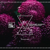 Save a Prayer - Single - Nari & Relight Orchestra