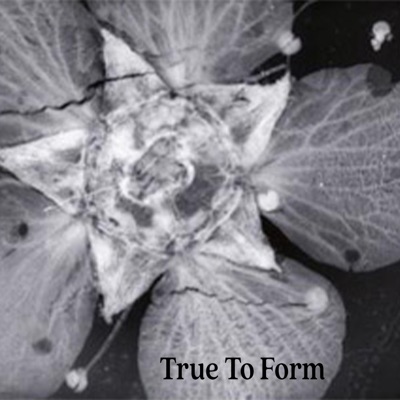 True To Form (feat. MC KYM & Takiyah) - Single