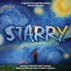 The Starry Night