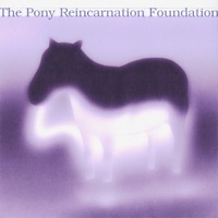 Pony Lonely - Single - Lo-Fang