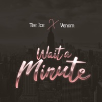 Wait a Minute (feat. Venom) - Single - Tee Ice