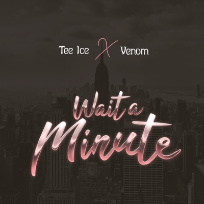 Wait a Minute (feat. Venom) - Single