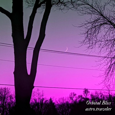 Orbital Bliss - Single