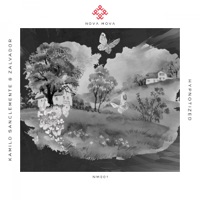 Hypnotized - Single - Kamilo Sanclemente & Zalvador