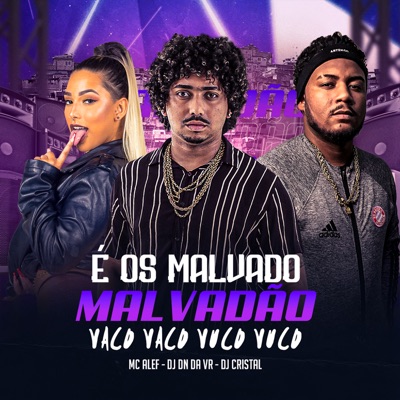 É os Malvado Malvadão Vaco Vaco Vuco Vuco (feat. DJ DN da VR & DJ CRISTAL) - Single