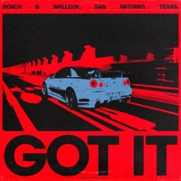 Got it (feat. Wallo2k) - Single - Roxch