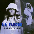 La Flecha