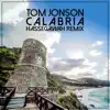 Stream & download Calabria (HassegawaH Remix) - Single