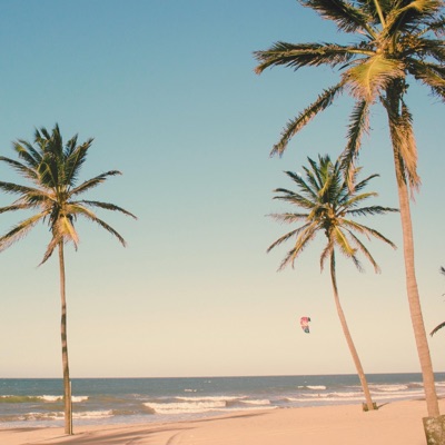 Slow Summer (feat. Jammin' Alone) - Single