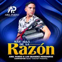 MÁS ALLÁ DE LA RAZON — ABEL PARDO