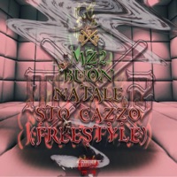 BNSC (Freestyle) - Single - MZ2