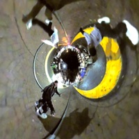 Obvee (feat. whatafuckingbitch & Blaund) - Single - Notry