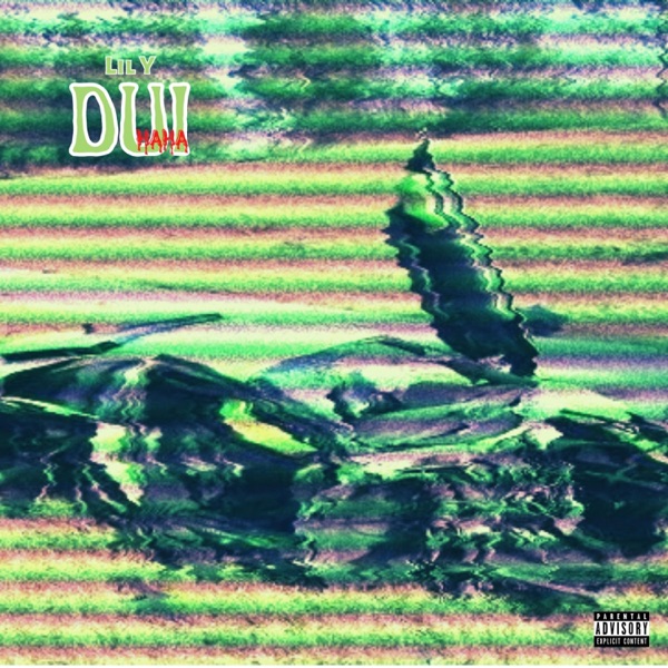 DUI (Haha)