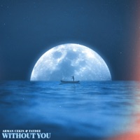 Without You - Single - Arman Cekin & Faydee