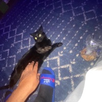 Xp - Single - kuriosity