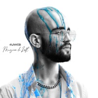 Pe Racoare - Single - Swisher