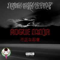 Rogue Ninja - Single - Leontharchitect
