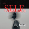 Self Destruct - Single