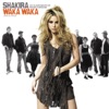 Waka Waka (Esto es Africa) [feat. Freshlyground] cover art