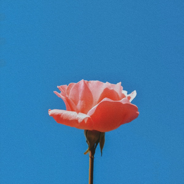 Faded Flower - EP