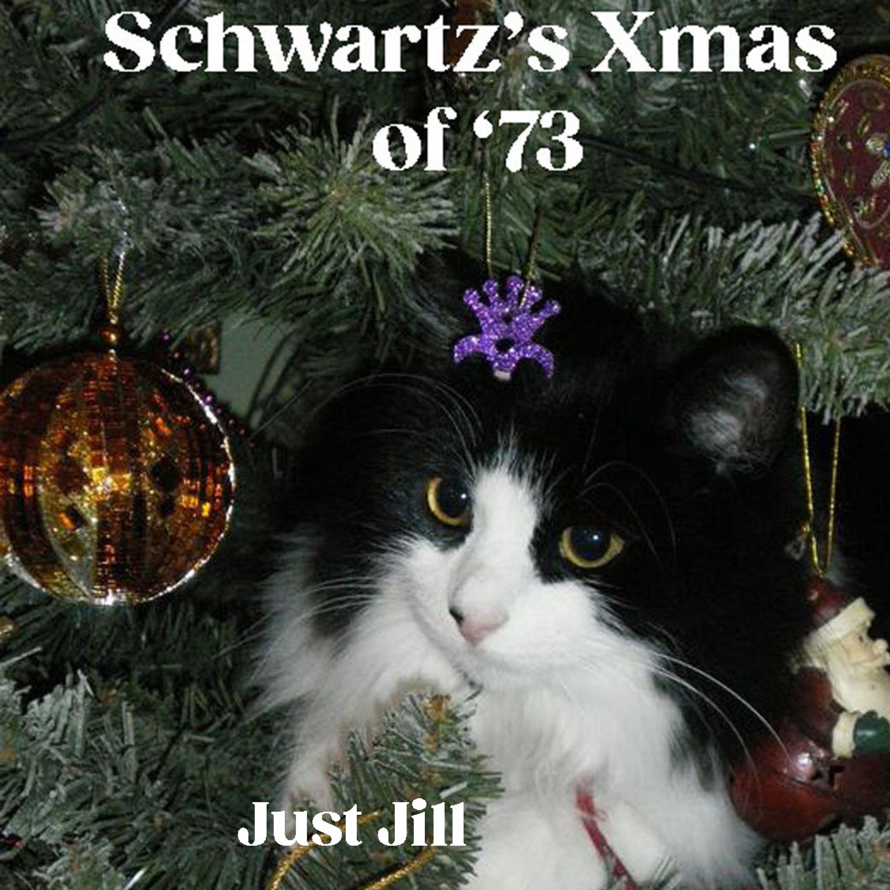 Schwartz's Xmas Of '73 - Single