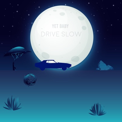 Drive slow - Single