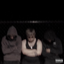slo mo (feat. Desire) YD Milkman