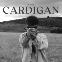 Cárdigan - Single - Boker Brk & Black Rose