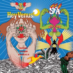 HEY VENUS cover art