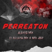 Perreaton (feat. Dj Leyva Mix & Nick Joed) - Single - Alexito Mix