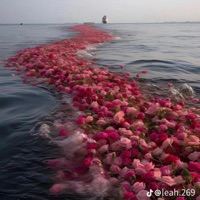 Rose Pedals (feat. 6ixStarUno & 2800 Vic) - Single - DoubleG Splat