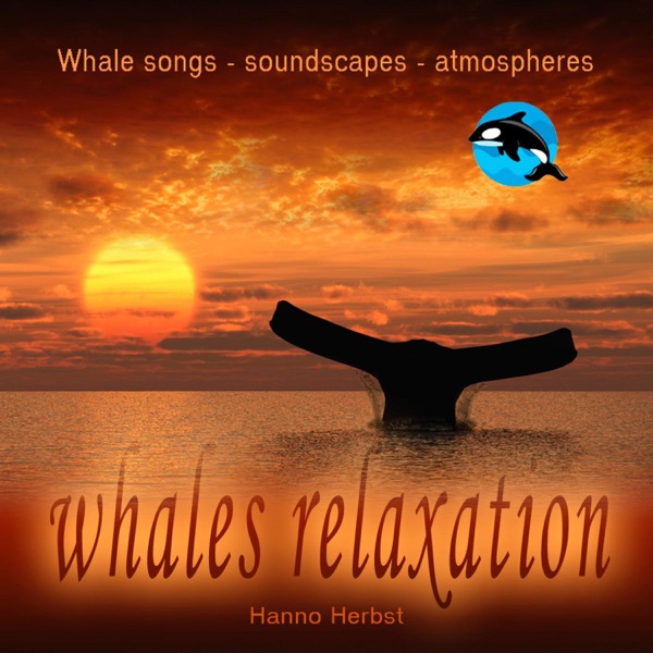 Blue Whale Relaxation - Balaenoptera Musculus - Blauwal