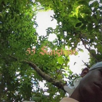 55 Sunshine - EP - m0$h Blac.