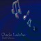 Lonely Waterfall - Charlie Lakotas lyrics