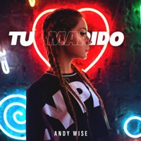 TU MARIDO (feat. GELITTO RAYMOND) - Single - Andy Wise