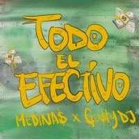 Todo el Efectivo - Single - MEDINAS & Gusty dj