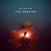The Remains (A Year's Worth Of Songs) artwork