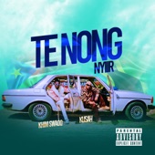 Te Nong Nyiir (feat. Kusah) artwork