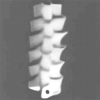 Styrofoam Spine - Single - Jomo